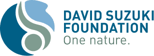DavidSuzuki Logo Color