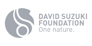 David Suzuki Foundation Logo Grey