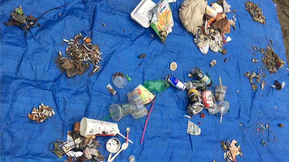 rise people cpaws beach cleanup
